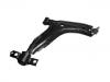 控制臂 Control Arm:007 304 448