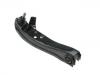 Lenker, Radaufhängung Control Arm:54500-37P00