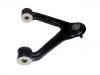 перед рычаг нижный Control Arm:500379802