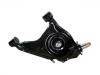 Brazo de suspensión Control Arm:7663114