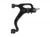 перед рычаг нижный Control Arm:RBJ 500446