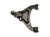 перед рычаг нижный Control Arm:RBJ 101070
